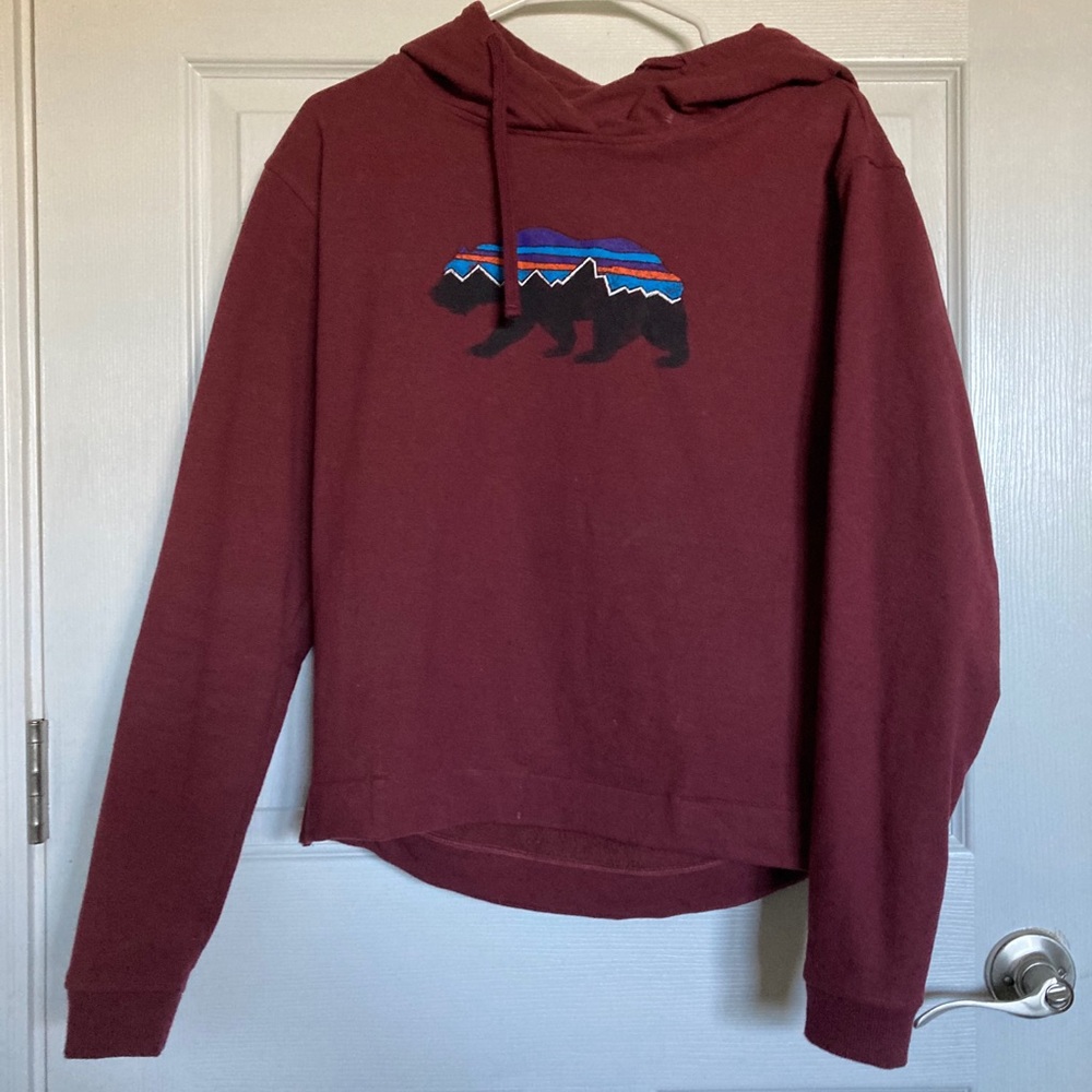 Patagonia hoodie